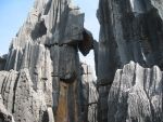 Formations in the Stone Forest