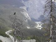 Climbing up to the Icefields Chalet