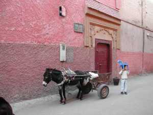 Typical transportation at the entrance to the Ryad Tinmel