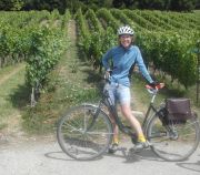 Becky in the vineyards