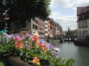 A view of Strasbourg