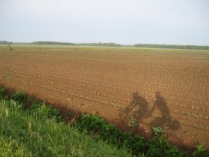 Sunshine cast our shadow for the first time 