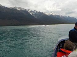 jet boat ride on the dart river
