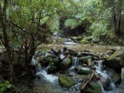 Hiking on Queen Charlotte Sound