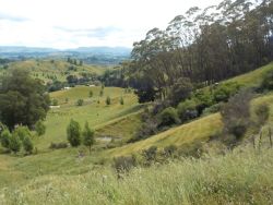 Riding out of Napier