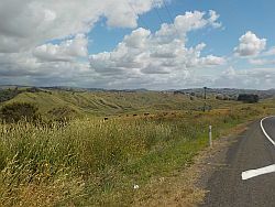 Views from the ride from Gisborne