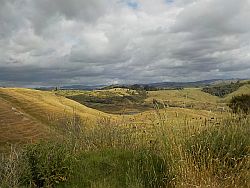 Views from the ride from Gisborne