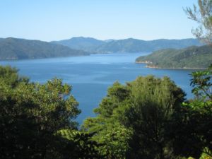 Hiking around Queen Charolette Sound