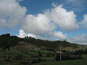 Scenery on the ride from Puka Park to Whitanga
