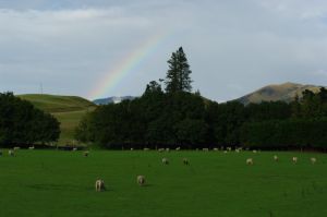 Rainbow from the train window on the ride to Greymouth