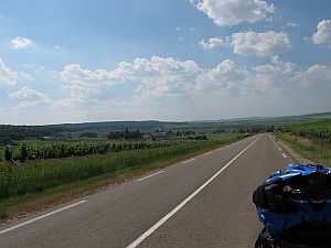 riding through the champagne vineyards