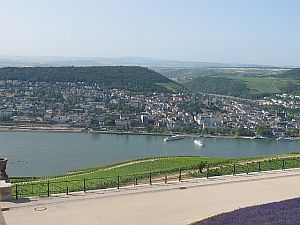 Looking at the Rhine above Rudesheim