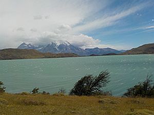 wind blown in Torres de Paine Nacional Parque